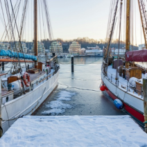 Elektroschrott kostenlos in Flensburg entsorgen